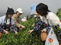 区妇联界别政协委员开展 “委员融入双圏 助力双城更靓”活动 